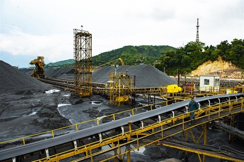 vietnam increases coal ore and mineral imports