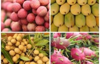 Fruit and vegetable sector eyes export target of US$5 billion this year