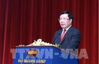 Vietnam greatly values ties with Middle East and African countries