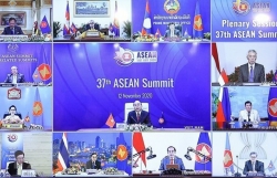 Vietnam’s stature, mettle, wisdom manifested in ASEAN Chairmanship Year