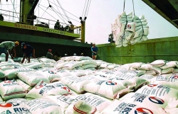 Rice export price hits new record high