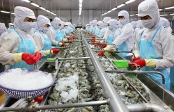 Shrimp exporters eye over US$4 billion in export in 2021
