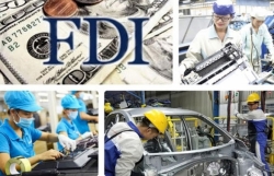 Tax evasion questions raised as 55% of FDI enterprises report losses