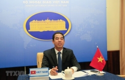 Vietnam-EU relations to grow further in coming years