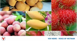 Fruit, nut exports to demanding markets enjoy growth