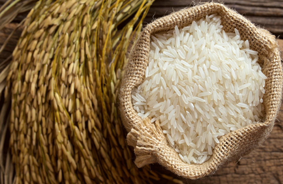 Bangkok Post highlights prudent Vietnamese rice strategy