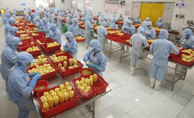 Vietnam looking to expand export to Eurasian market hinh anh 1