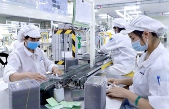 Important step forward for Vietnamese, EU firms in socio-economic recovery