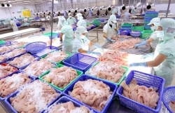 Vietnamese seafood sector to enjoy strong growth in 2021-2030: Report