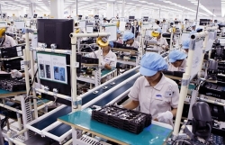 Việt Nam’s robust exports to underpin rapid growth rebound in 2022