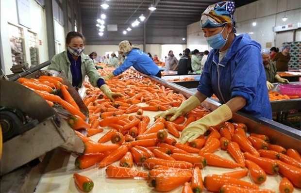 Vietnam expects more markets to open to farm produce in 2023
