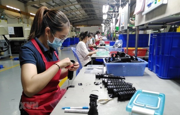 Domestic firms in Dong Nai set new record in export turnover hinh anh 1