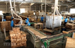 Wood industry makes most of each advantage to fulfil set targets