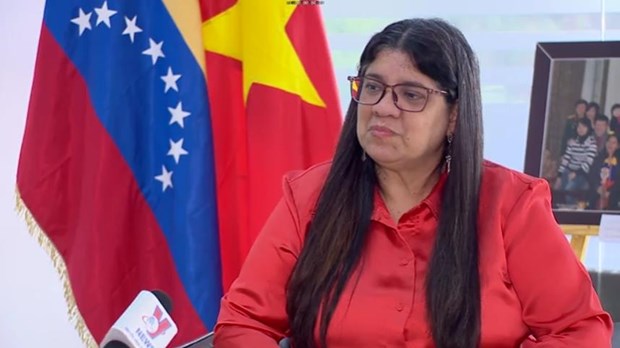 Vietnam shows strength of socialist-oriented market economy: Venezuelan Ambassador hinh anh 1