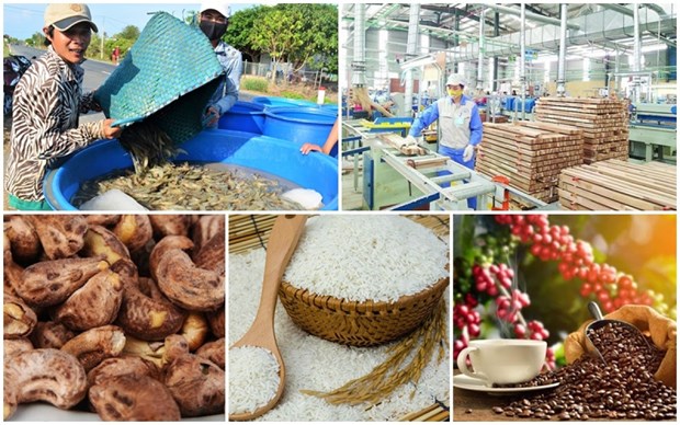 Vietnam’s agro-forestry-aquatic product exports hit record in 2022 hinh anh 2