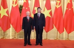 Vietnamese economy greatly open, full of vitality: Chinese ambassador