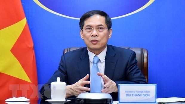 Foreign minister details six priorities of diplomatic sector in 2023 hinh anh 1