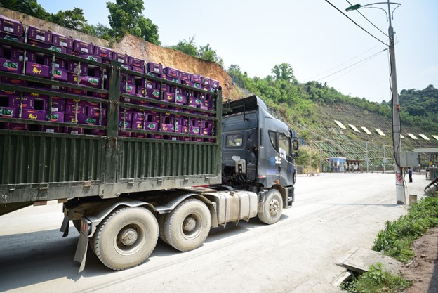 Almost 3,000 tonnes of farm produce exported to China via Lạng Sơn's border gates
