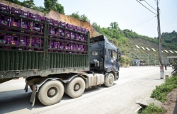 Almost 3,000 tonnes of farm produce exported to China via Lạng Sơn