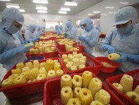 Vegetable, fruit exports to struggle