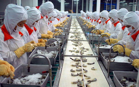 tightened controls on antibiotic residues for shrimp industry