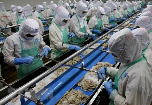 auspicious start for vietnamese seafood exports to eu