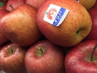 Japan’s giant apples attract customers for Tet