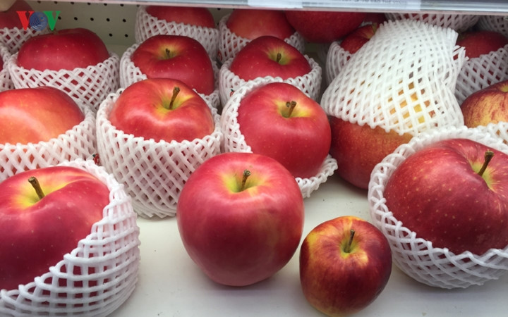 japans giant apples attract customers for tet