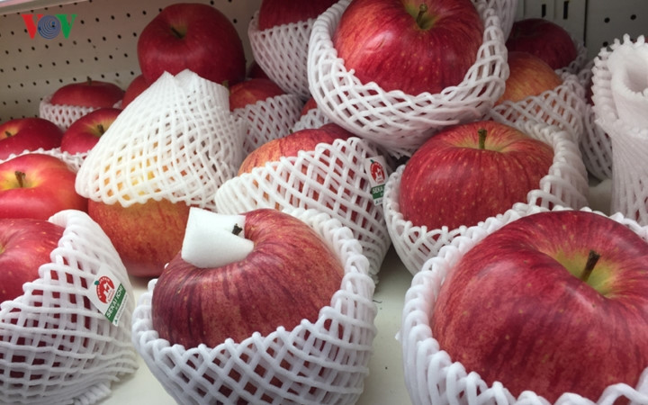 japans giant apples attract customers for tet