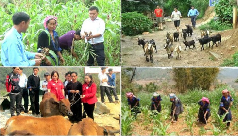 vietnams farm produce find inroads to demanding markets
