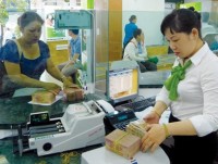 Vietnam’s banking sector clean-up to weigh on credit growth