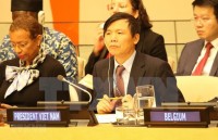 Vietnam successfully fulfils role as President of UNSC in January