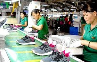 Leather and footwear sector eyes export target of US$24 billion