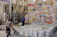 ensure balance between rice export and food security