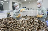 Shrimp exports expected to enjoy fruitful advantages throughout 2020