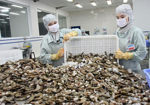 shrimp exports expected to enjoy fruitful advantages throughout 2020