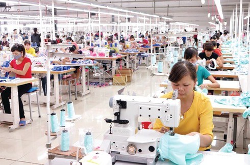 material autonomy key for vietnam to fully tap evfta