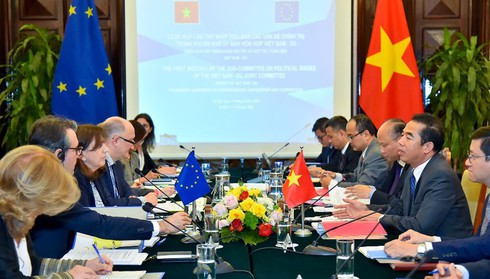 vietnameu expect early implementation of evftaevipa