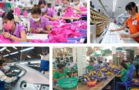 EVFTA creates opportunities to enhance quality of “made in Vietnam” products