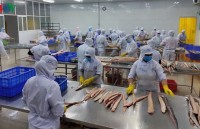 EVFTA sets strict requirements on origin traceability for seafood businesses