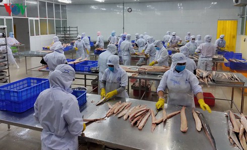 evfta sets strict requirements on origin traceability for seafood businesses