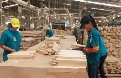 Local wood industry to capitalise on export opportunities to US