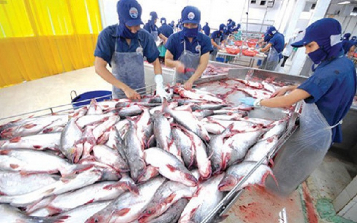Cambodia has decided to lift ban on catfish imports from Vietnam. (Illustrative image).