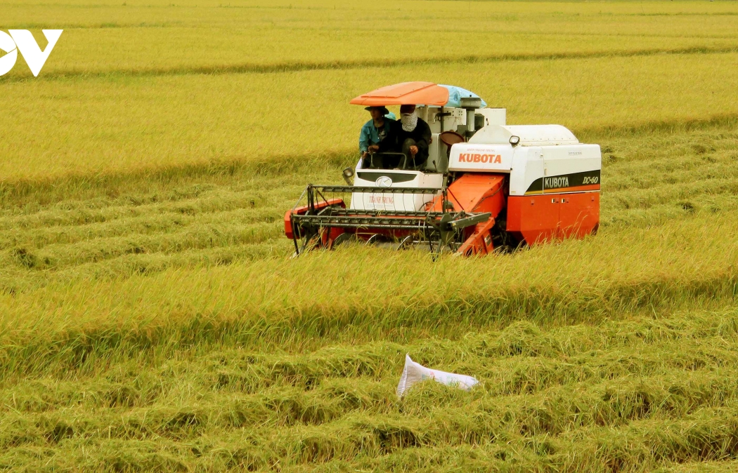 Agricultural sector meets dual goal, seeks new outlets