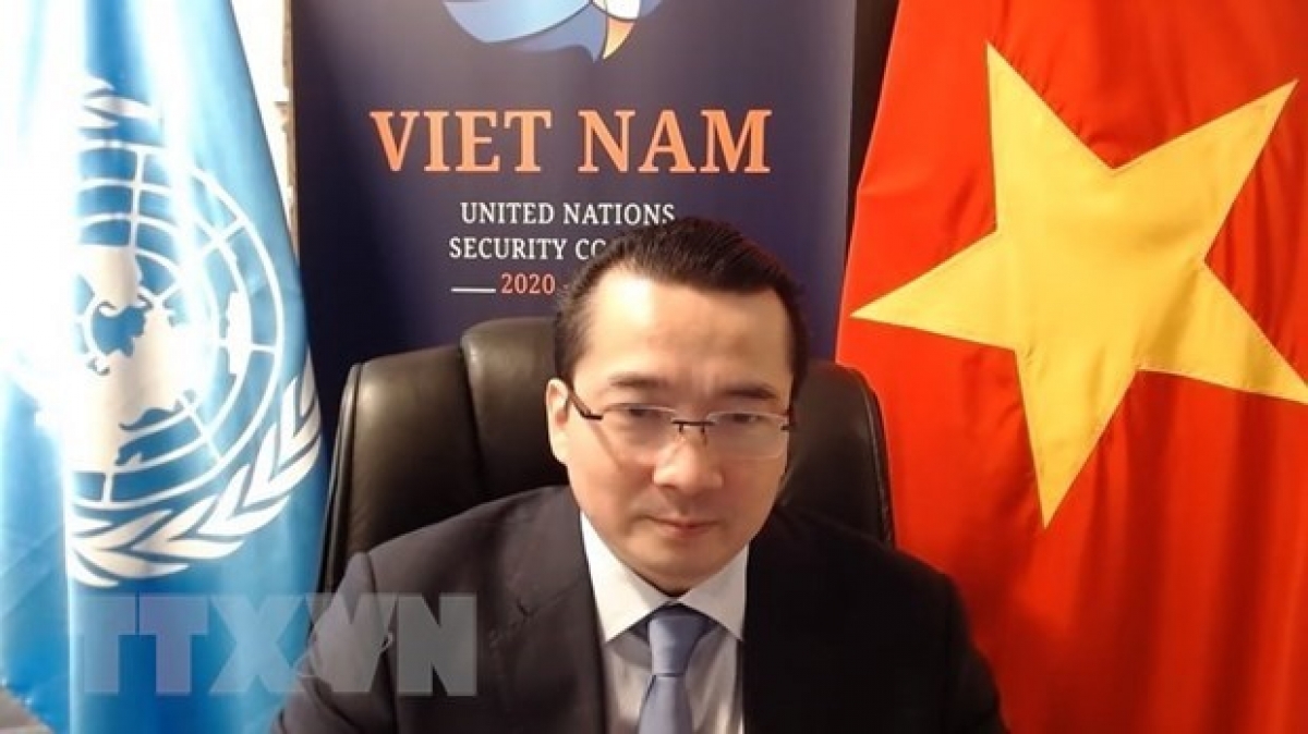 Vietnam’s representative Ambassador Pham Hai Anh (Photo: VNA)