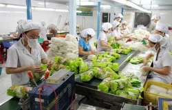 Australia increases imports of Vietnamese processed fruit, vegetables