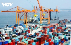 Maritime transport marks bright spot for Vietnamese economic growth