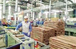 Wood exports enjoy sharp increase during January
