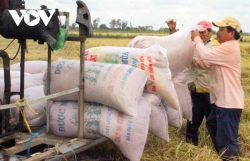 Vietnam urged to increase added value for rice industry