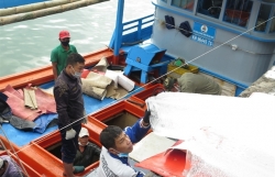 Fisheries sector sets target of removing fishing yellow card this year